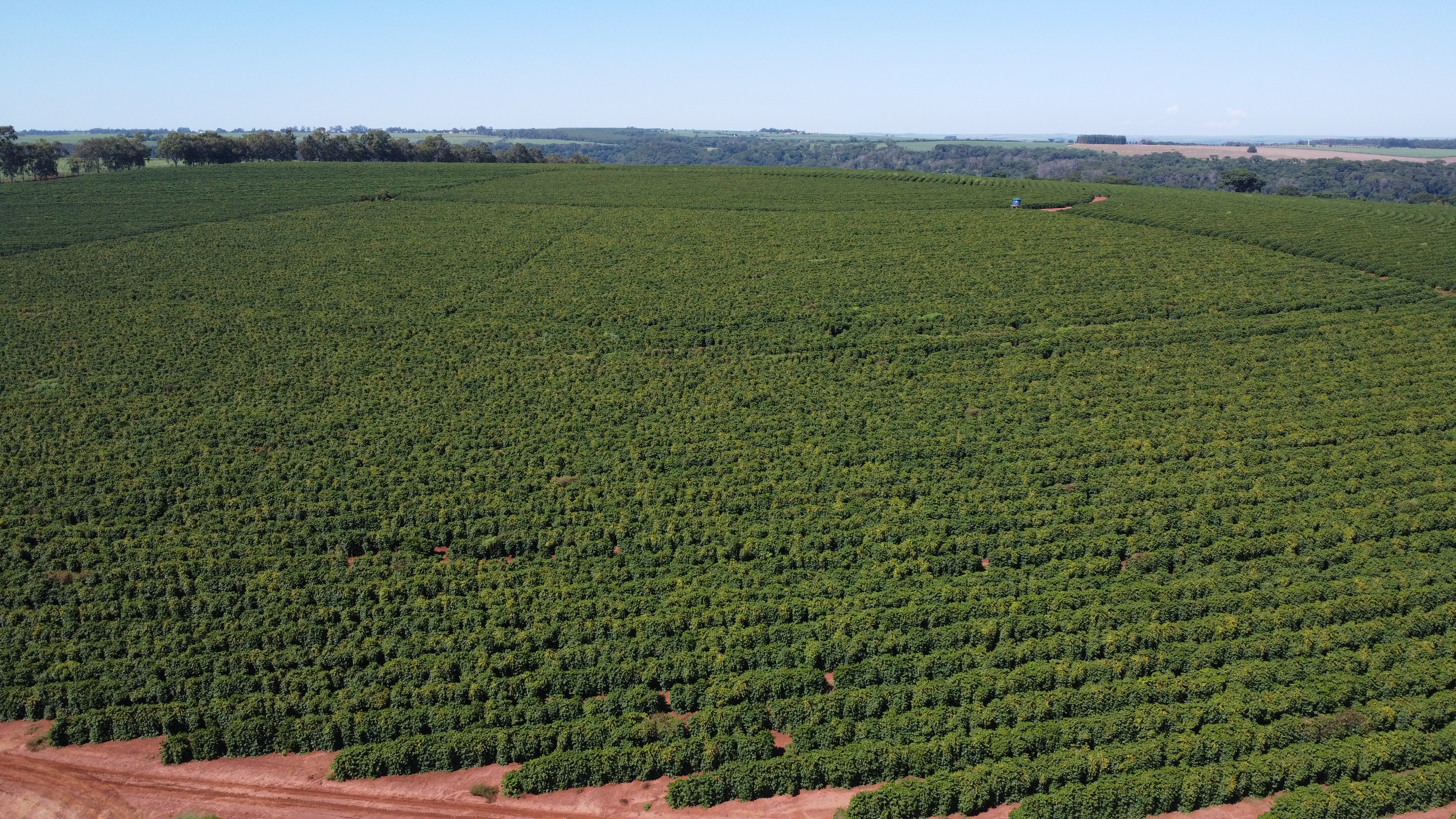 Fazenda Santa Terezinha #3