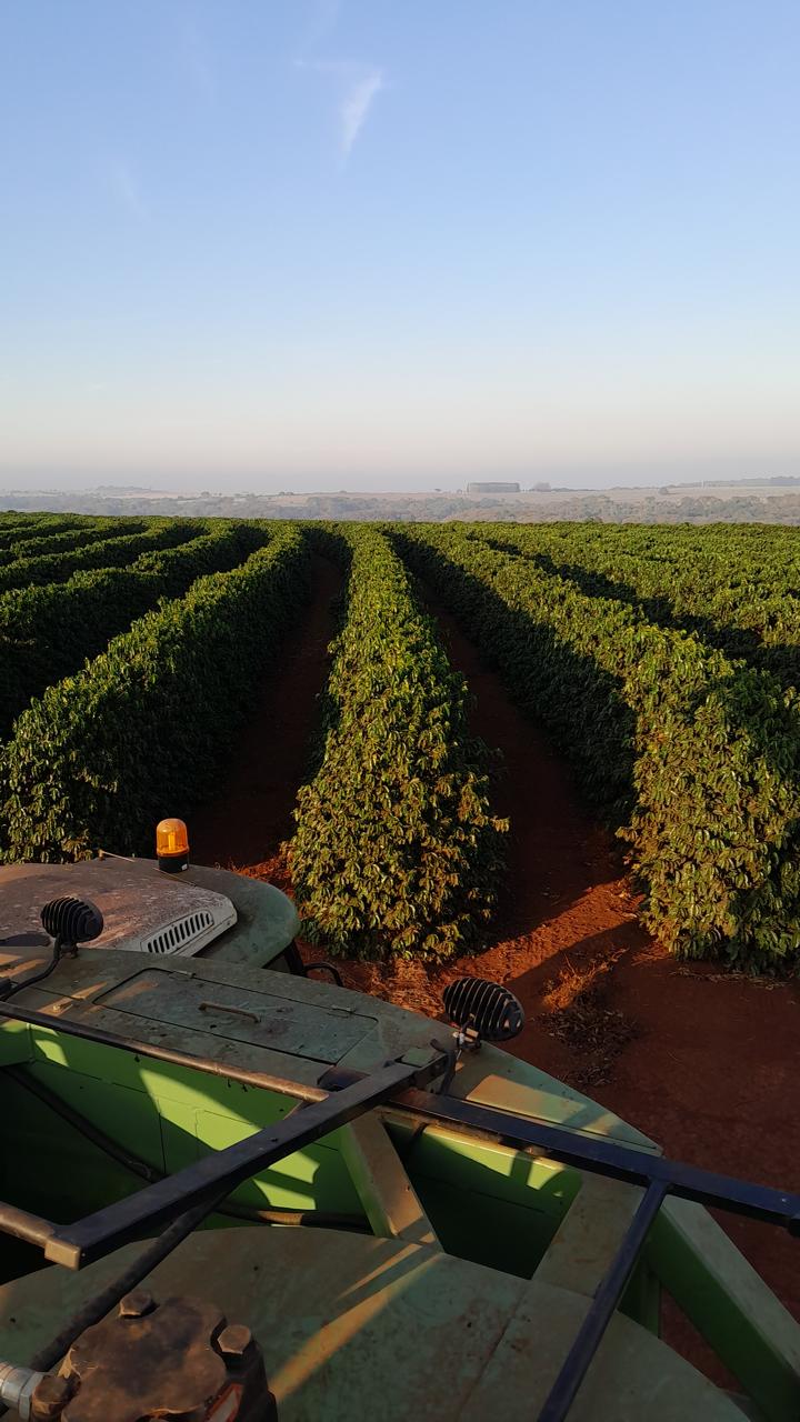 Fazenda Santa Terezinha #46