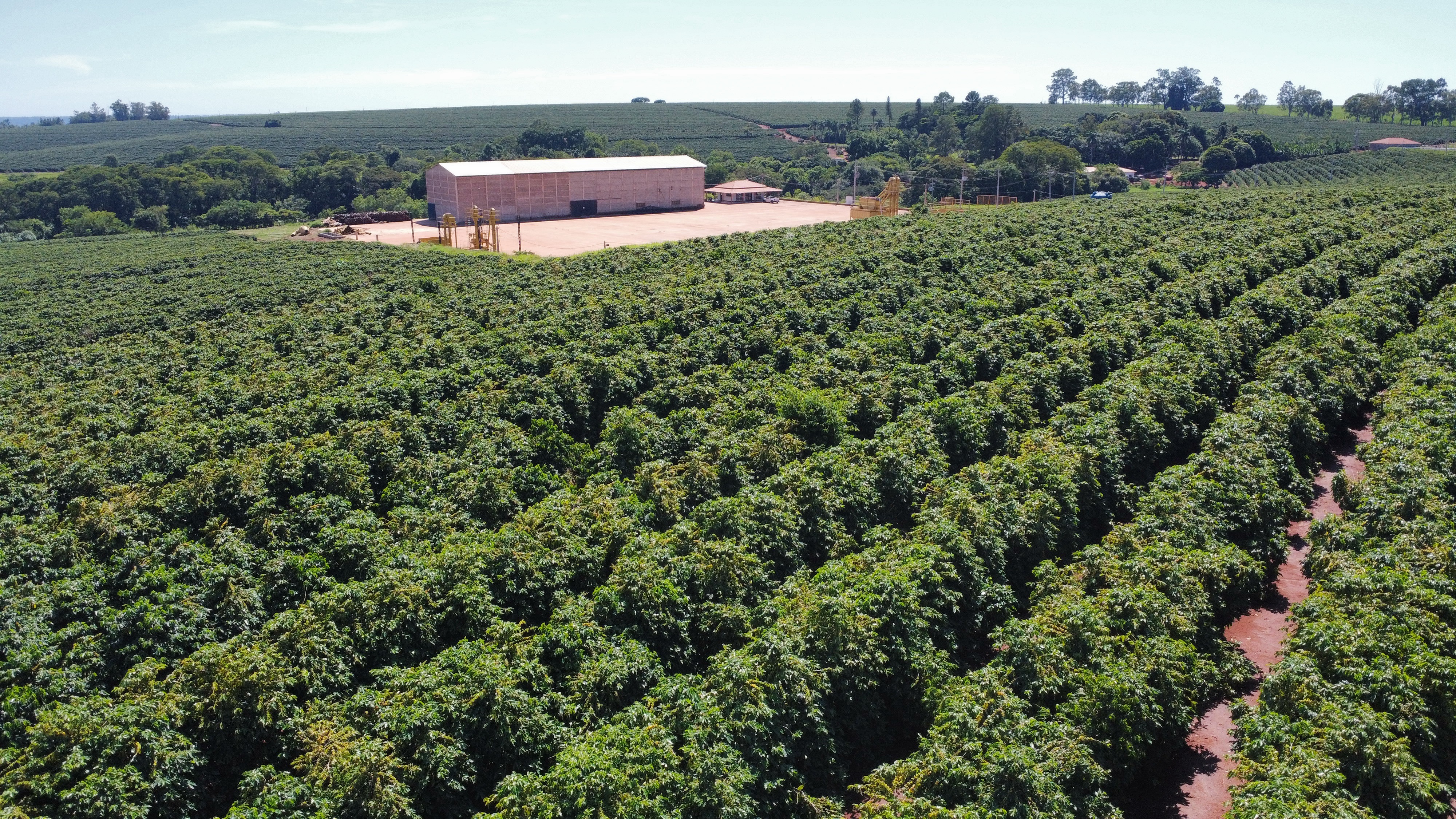 Fazenda Santa Terezinha #5