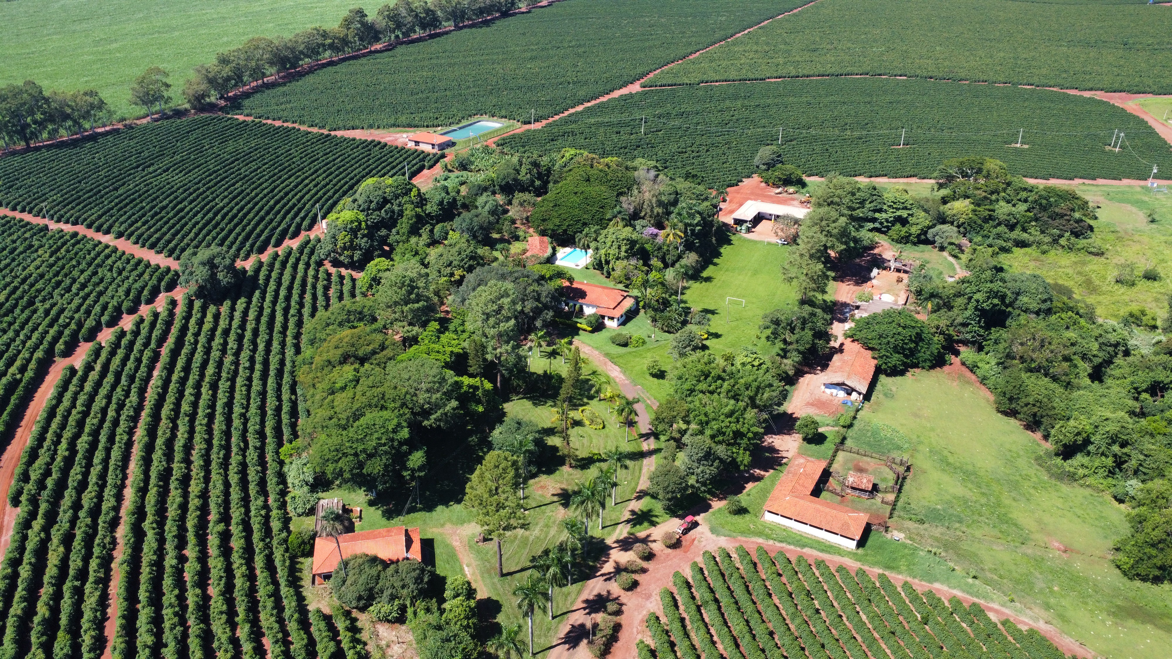 Campo e Infraestrutura